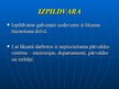Prezentācija 'Valsts varas dalīšanas raksturojums', 22.