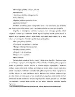 Referāts 'Bērnu mācīšanās traucējumi, to iemesli un korekcijas iespējas', 5.