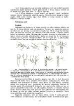 Referāts 'Ceriņu pavairošana', 10.