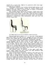 Referāts 'Ceriņu pavairošana', 13.