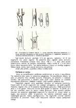 Referāts 'Ceriņu pavairošana', 15.