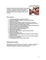 Referāts 'Ārstnieciskā masāža', 11.