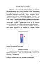 Referāts 'Skolotāju diena', 2.