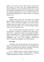 Referāts 'Aizvēsture', 12.