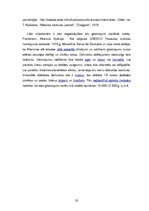 Referāts 'Aizvēsture', 20.