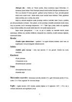 Referāts 'Tūrisma maršruts Kurzemē', 7.