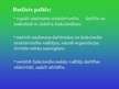 Prezentācija 'Budžets un tā nozīme uzņēmējdarbībā', 3.