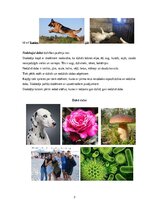 Konspekts 'Dzīvā un nedzīvā daba', 3.