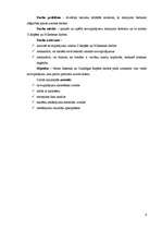 Referāts 'Savrupinājumu veidojums un lietojums Noras Ikstenas un Gundegas Repšes darbos', 6.