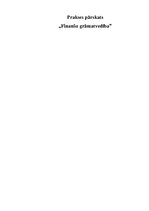 Prakses atskaite 'Prakses pārskats finanšu grāmatvedībā', 1.