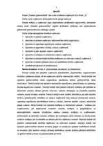 Prakses atskaite 'Prakses pārskats finanšu grāmatvedībā', 3.