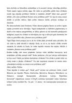 Referāts 'Runu retoriskā analīze', 2.