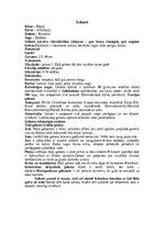 Referāts 'Zvīņrāpuļi', 5.