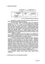 Referāts 'SIA "X" biznesa plāns konsultatīvo pakalpojumu nozares attīstībai', 15.