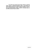 Referāts 'SIA "X" biznesa plāns konsultatīvo pakalpojumu nozares attīstībai', 16.