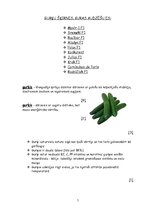 Paraugs 'Delikātais dārzenis - gurķis', 5.