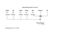 Referāts 'Ēdināšanas uzņēmuma tehnoloģiskā procesa norises dokumentu izstrāde', 17.