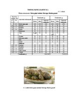 Referāts 'Ēdināšanas uzņēmuma tehnoloģiskā procesa norises dokumentu izstrāde', 34.