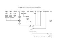 Referāts 'Ēdināšanas uzņēmuma tehnoloģiskā procesa norises dokumentu izstrāde', 36.