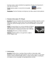 Konspekts 'Desmit ekoloģiskās katastrofas', 4.