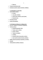 Prakses atskaite 'Projekts "Bērnu pieskatīšanas istaba"', 7.