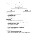 Prakses atskaite 'Projekts "Bērnu pieskatīšanas istaba"', 12.