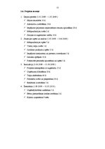 Prakses atskaite 'Projekts "Bērnu pieskatīšanas istaba"', 13.