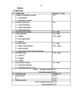 Prakses atskaite 'Projekts "Bērnu pieskatīšanas istaba"', 16.