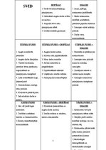 Paraugs 'Brīfings uzņēmumam "Pūks un draugi"', 4.