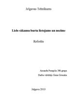 Referāts 'Lielo sākuma burtu lietojums un nozīme', 1.