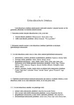 Referāts 'Lielo sākuma burtu lietojums un nozīme', 6.