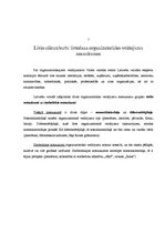 Referāts 'Lielo sākuma burtu lietojums un nozīme', 8.