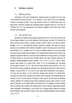 Biznesa plāns 'Business plan Sunday Tan LLC', 6.