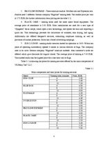 Biznesa plāns 'Business plan Sunday Tan LLC', 8.