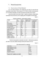 Biznesa plāns 'Business plan Sunday Tan LLC', 21.