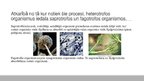 Prezentācija 'Organismu barošanās veidi', 8.