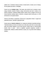 Konspekts 'Socioloģijas klasiskās teorijas: Georgs Zimmels', 4.