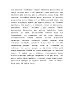 Referāts 'Tērpu vēsture', 14.