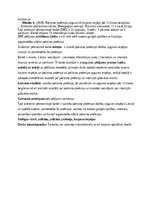 Eseja 'Policista profesijas apguve kā karjeras iespēja pēc 12.klases beigšanas', 2.