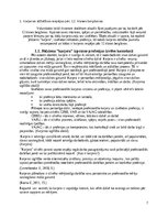 Eseja 'Policista profesijas apguve kā karjeras iespēja pēc 12.klases beigšanas', 6.