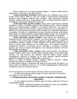 Eseja 'Policista profesijas apguve kā karjeras iespēja pēc 12.klases beigšanas', 10.