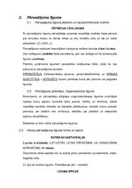 Konspekts 'Darba līgums. Uzņēmuma līgums', 3.