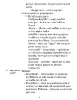 Konspekts 'Ētikas atbildes', 14.