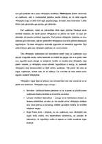 Konspekts 'Vērtspapīru tirgus jēdziens un ekonomiskā būtība', 2.