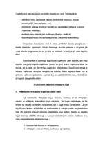 Konspekts 'Vērtspapīru tirgus jēdziens un ekonomiskā būtība', 7.