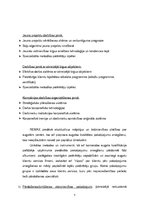 Referāts 'Uzņēmuma plānošanas mērķi, uzdevumi, principi', 7.