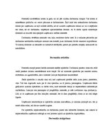 Referāts 'Personālvadība uzņēmumā SIA "xxx"', 6.