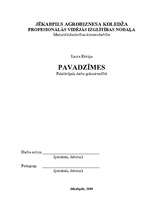 Konspekts 'Pavadzīmes', 1.