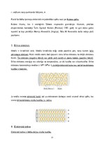 Konspekts 'Inženierzinātnes projekts "Elektrība"', 3.