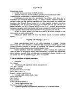 Biznesa plāns 'Z/s “Cūkauši”', 2.